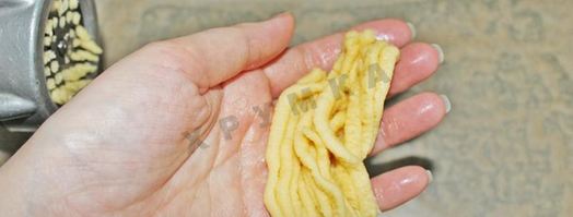 печенье хризантема через мясорубку. Шаг 10