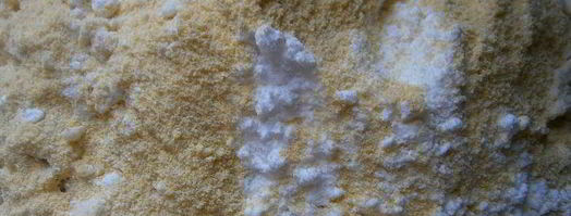 печенье сладкий сэндвич. Шаг 2