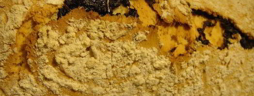 песочный рулет. Шаг 2