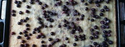 пирог с кислыми ягодами. Шаг 8