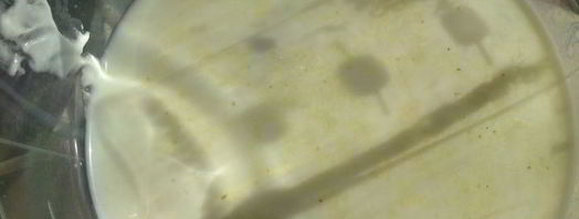 творожный пирог абрикос. Шаг 6