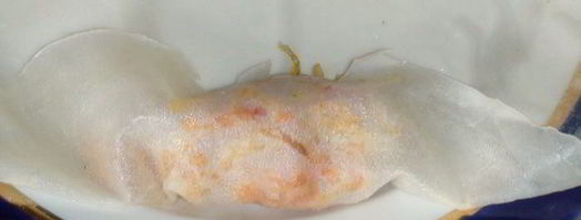 пирожки по-китайски в рисовой бумаге. Шаг 8