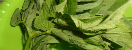 цельнозерновые пирожки со снытью, морской капустой и яйцом. Шаг 3