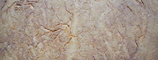 имбирно-лаймовые пирожные. Шаг 6