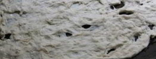 пицца с помидорами и базиликом. Шаг 4