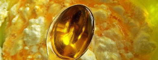 творожники с брусникой. Шаг 3