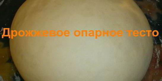 Дрожжевое опарное тесто