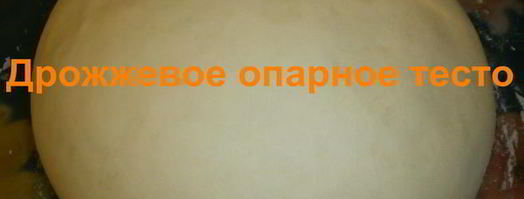 дрожжевое опарное тесто. Шаг 11