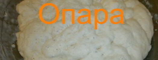 дрожжевое опарное тесто. Шаг 6