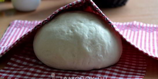 Тесто без яиц и молока для пирожков
