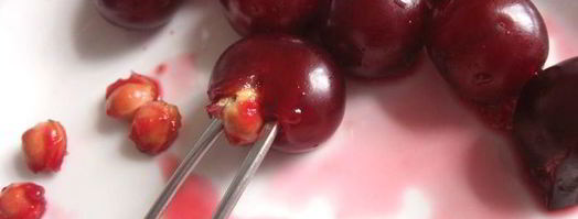 летний торт нежное вишневое облачко. Шаг 14