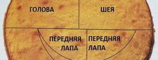 торт дракоша. Шаг 11