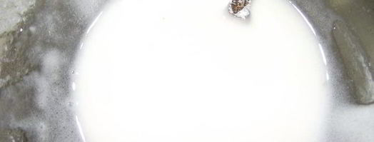 торт дракоша. Шаг 15