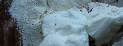 торт кофе, сливки, шоколад. Шаг 5