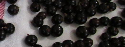 торт-парфе смородиновые облака. Шаг 11