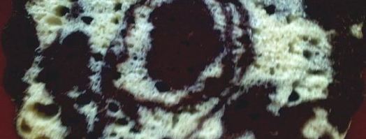 торт зебра. Шаг 2