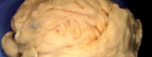 венгерский ореховый рулет. Шаг 9