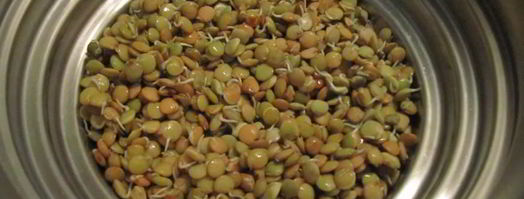 запеканка из риса с чечевицей. Шаг 3