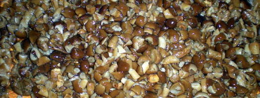 запеканка лентяйка. Шаг 10