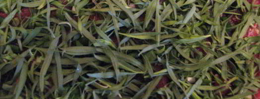 запеканка по-грузински. Шаг 3