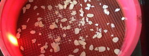 запеканка творожная с абрикосами. Шаг 4