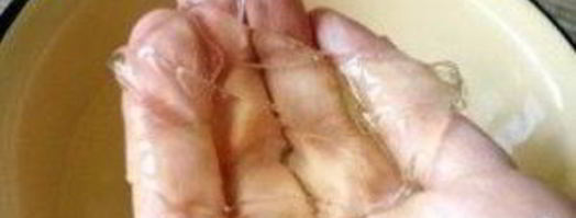 джем из киви. Шаг 4