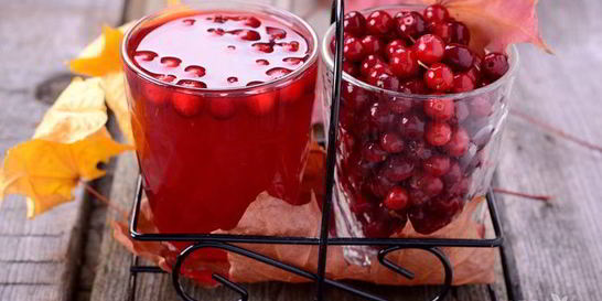 Компот из брусники