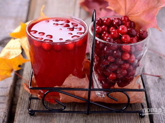 Рецепт компота из брусники