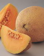 Компот из дыни без стерилизации