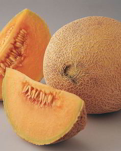 Компот из дыни без стерилизации