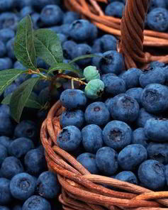 Компот из голубики на зиму