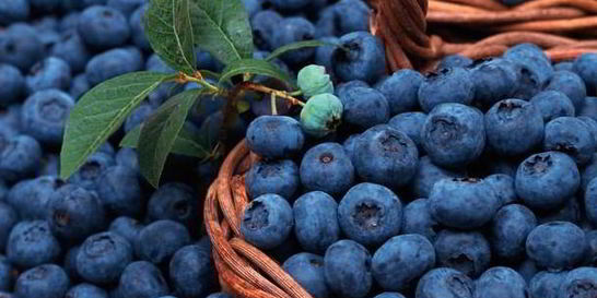 Компот из голубики на зиму