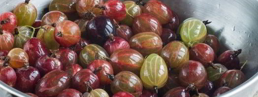 компот из красного и зеленого крыжовника на зиму. Шаг 4