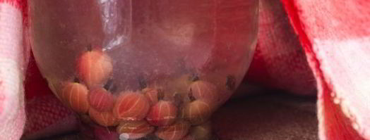 компот из красного и зеленого крыжовника на зиму. Шаг 8