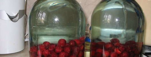 компот из вишен с косточками на зиму. Шаг 3