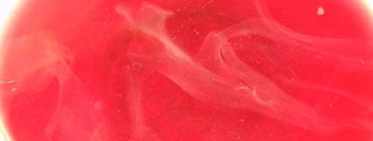 компот из вишен с косточками на зиму. Шаг 4