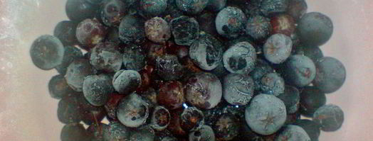 компотик из свежезамороженных ягод с лимоном. Шаг 6