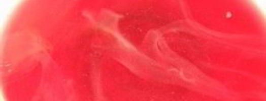 вишневый компот на зиму. Шаг 3