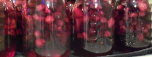 ягодный компот на зиму. Шаг 5