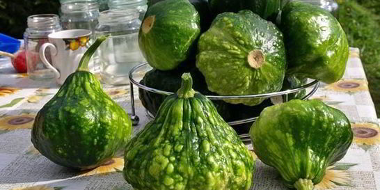 Консервация патиссонов на зиму