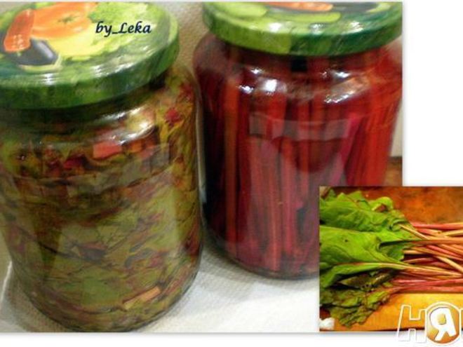 Рецепт ботвы свеклы маринованная