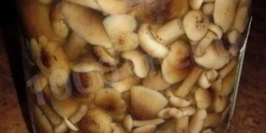 Быстрые маринованные грибы