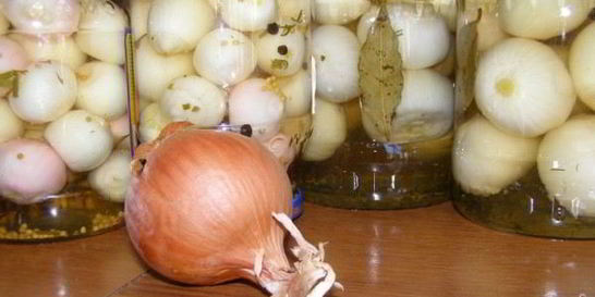 Маринованный лук на зиму