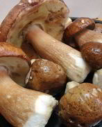 Маринованные белые грибы с чесноком