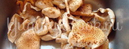 маринованные грибы. Шаг 2