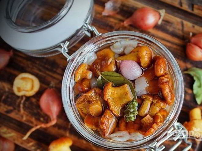 Рецепт маринованных лисичек