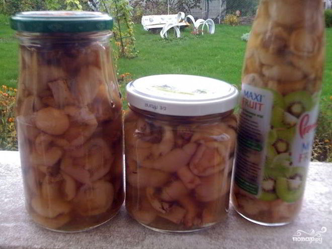 Рецепт маринованных маслят жареных