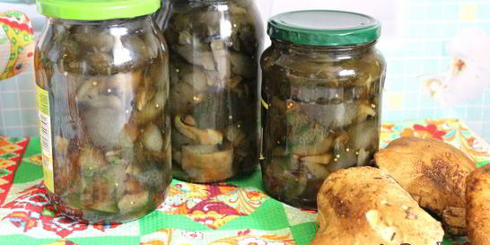 Маринованные моховики на зиму