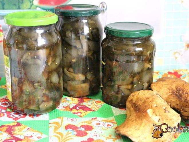 Рецепт маринованных моховиков на зиму