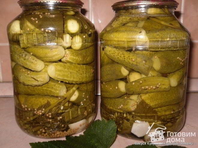 Рецепт маринованных огурчиков по-польски